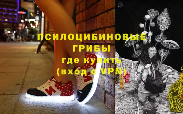 ПСИЛОЦИБИНОВЫЕ ГРИБЫ Алексеевка