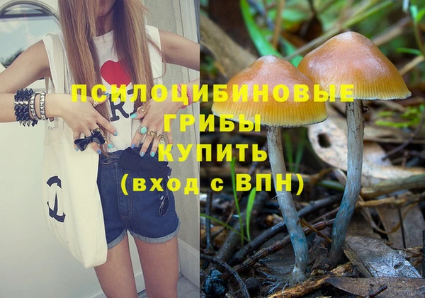 МДПВ Абинск