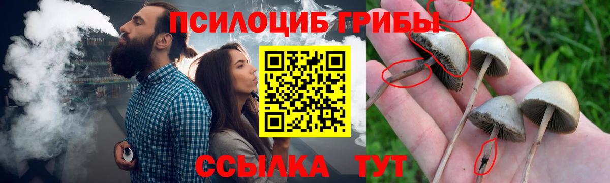 Ковров  Галлюциногенные грибы Magic Shrooms  Вход с VPN  Псилоцибиновые грибы Psilocybine cubensis 